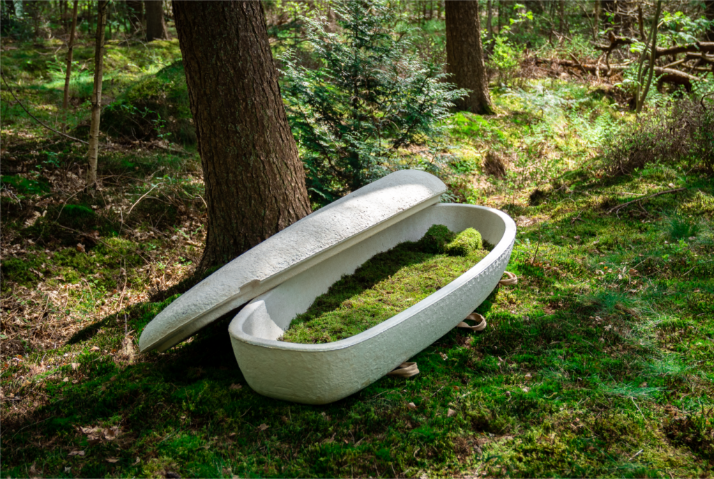 Loop Living Cocoon Tekengebied-1-1024×687