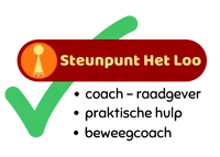 logo+SHL+transparante+achtergrond-201w